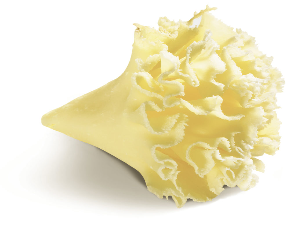 Tête de Moine Monk’s Head Cheese - raw milk | The Red Cow