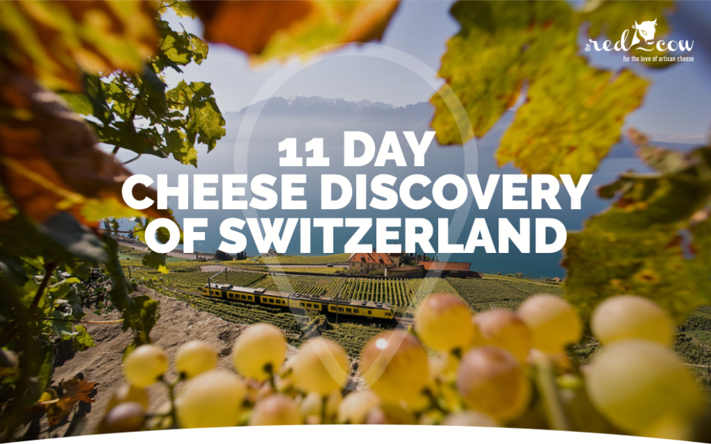 Switzerland Cheese Tour The Red Cow